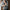 Klassische Trachtenweste mit Vintage-Charme – Miguelito