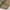 Slim-Fit Karo-Trachtenhemd mit Militärstil – Benjamin