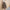 Trachtenrock aus Jacquard mit hoher Taille – Sophia