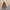 Trachtenrock aus Jacquard mit hoher Taille – Sophia