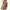Trachtenrock mit Blumenmuster und hoher Taille – Luisa