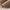 Hochwertige Business-Trachten-Socken aus Baumwolle – Colin