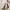 Hochwertige Business-Trachten-Socken aus Baumwolle – Colin