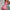 Satinnachthemd Set Damen Elegant und Verführerisch – Isabelle