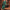 Flapper Kleid mit Pailletten und Fransen – Damen