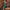 Flapper Kleid mit Pailletten und Fransen – Damen