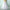 Tutu Petticoat für Volumen & Eleganz – Sophie