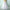 Eleganter Tutu-Petticoat für vielseitige Looks – Janine