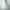 Tutu Petticoat für Volumen & Eleganz – Sophie