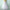 Eleganter Tutu-Petticoat für vielseitige Looks – Janine