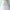 Eleganter Tutu-Petticoat für vielseitige Looks – Janine