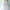 Tutu Petticoat für Volumen & Eleganz – Sophie