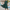 Elegantes Formelles Kleid mit 3/4-Ärmeln & fließender Silhouette – Adriana