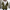 Damen Winterjacke mittellang warm mit Kapuze – Svetlana