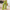 Leichte Damen-Sommerhose mit entspannter Passform – Tessa