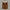 Warme Baumwoll-Winterjacke mit Plissé-Design – Lena