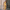 Midi Kleid Gelb Raffung Sommer Elegant – Sophie