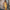 Midi Kleid Gelb Raffung Sommer Elegant – Sophie