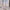 Bequeme Damen-Sneaker mit Halt – Viora