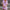 Sommerkleid Damen Leicht Elegant Knielang Alltag – Lomera