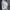 Damen Poloshirt Lässig Elegant Vielseitig Look – Anna