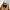 Warm, weich & stilvoll – Sabina Halsbindeschal
