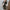 Kaschmir Winterschal weich & warm – Emilia