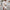 Elegantes Kleid mit V-Ausschnitt und Spitze – Antonia