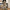 Vintage Trachtenrock mit hoher Taille und Falten – Helene