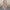 Blumen Maxikleid Elegant Sommer Luftig Damen – Marilena