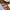 Silberner Herzring mit blauem Tropfen-Detail – Evelyne