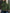 Zopfstrick Damenpullover mit bequemem Schnitt – Marcela