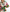 Buntes Langkleid mit Muster und Leichtigkeit – Alviera