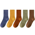 Hochwertige Business-Trachten-Socken aus Baumwolle – Colin