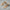 Orthopädische Damen Sandalen Sommer Komfort Style – Liora