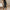 Damen-Cargo-Hose mit Taschen und elastischem Bund – Nora