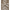 Elegant Wollmantel mit Gürtel für frische Tage – Dalia