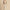 Zweiteiler Damen Sommer Set Top & Rock Elegant – Alviera