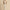 Sommer Top Rock Set für Damen Look – Calerie