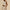 Sommer Top Rock Set für Damen Look – Calerie