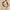 Zweiteiler Damen Sommer Set Top & Rock Elegant – Alviera