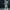 Jeansshorts Damen Plus Size & Bedruckt – SummerPrint