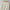 Lässige Shorts Damen Plus Size & Bequem – ComfortFlow