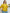 Bedrucktes Sommer-T-Shirt mit Knopfleiste – Lina