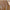 Sommershorts Damen Plus Size & Atmungsaktiv – AiryComfort