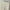 Lässige Shorts Damen Plus Size & Bequem – ComfortFlow