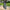 Damen Cargohose mit verstellbarem Beinabschluss – Travira