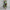 Boho Maxikleid mit Blumenmuster aus Baumwolle – Kerstin