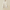 Damen Strick-Set Rollkragenpullover Weste Baumwolle Elegant Warm - Emilia