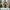 Bequeme Herren-Cargo-Hose mit Stretch & Taschen – Simon